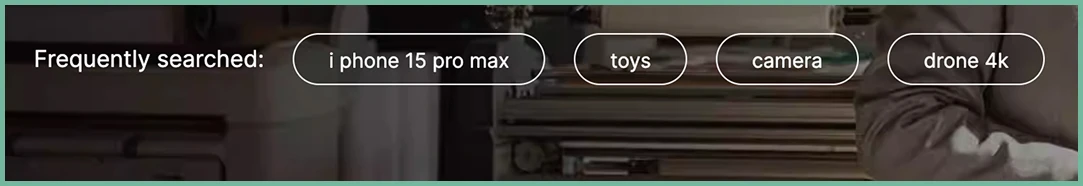 Quick access buttons for popular product searches